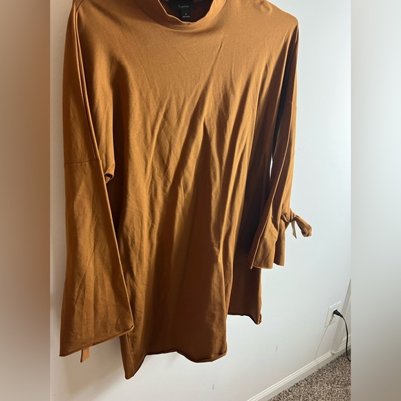 Brown long sleeve fall dress - Picture 4 of 5